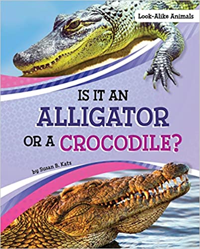 Alligator or crocodile