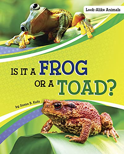 frog or toad